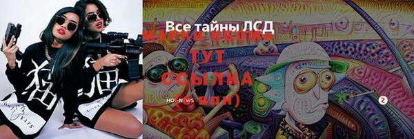 гидра Алексин
