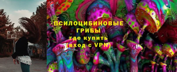 гидра Алексин