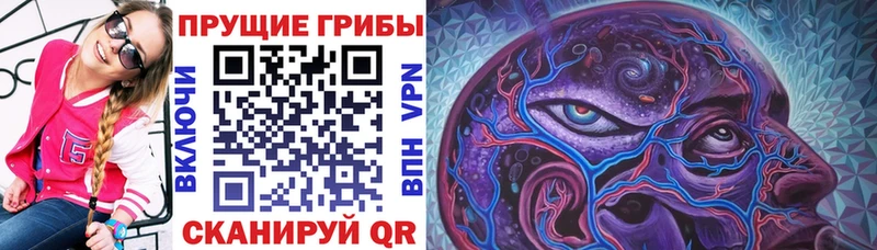 Галлюциногенные грибы мухоморы  Санкт-Петербург 