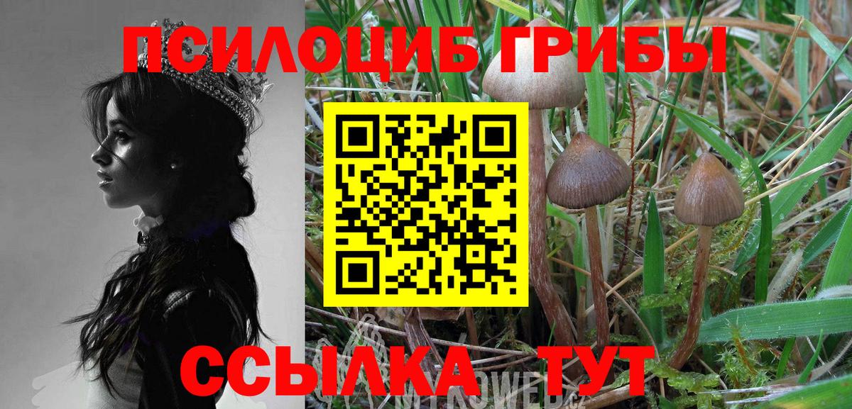 Псилоцибиновые грибы MAGIC MUSHROOMS Санкт-Петербург